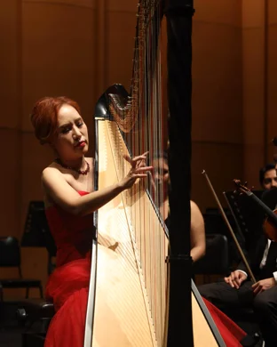Chamber Music For All Davidson