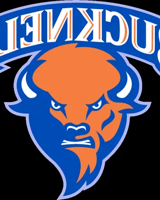 Bucknell Bison Football Lexington