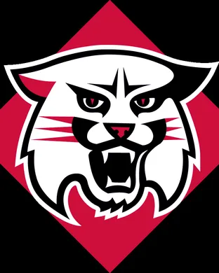 Davidson Wildcats Football Davidson