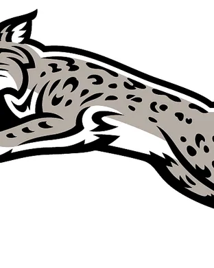 Davidson Wildcats Davidson