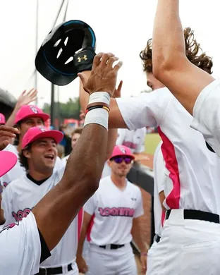 Florence Flamingos Martinsville