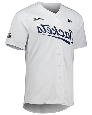 Georgia Tech Yellow Jackets Baseball Atlanta