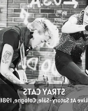 Stray Cats Danville