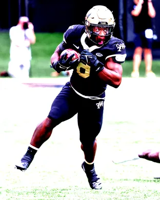 Wake Forest Demon Deacons Football Winston Salem